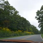 2017OTRA-1_1142 (August 28, 2017)